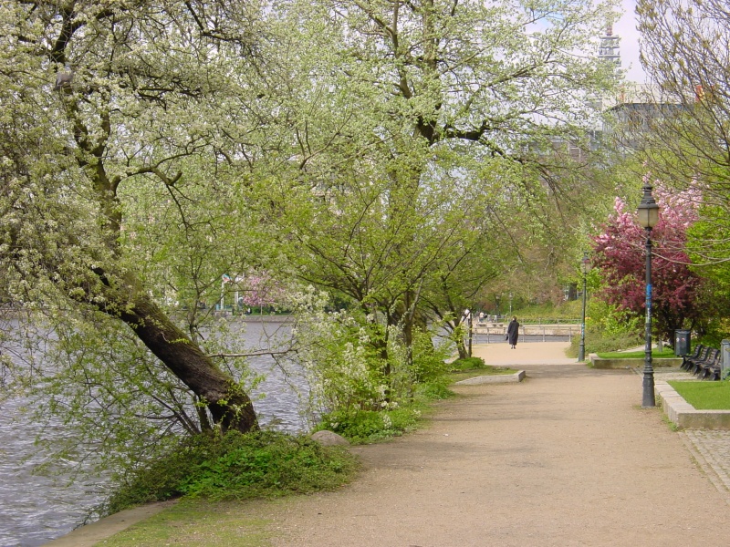Binnenalster Ufer.JPG -                                